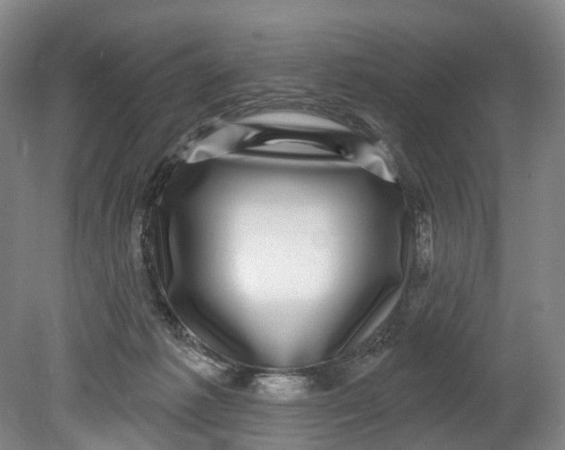 X0000080690221200701051108