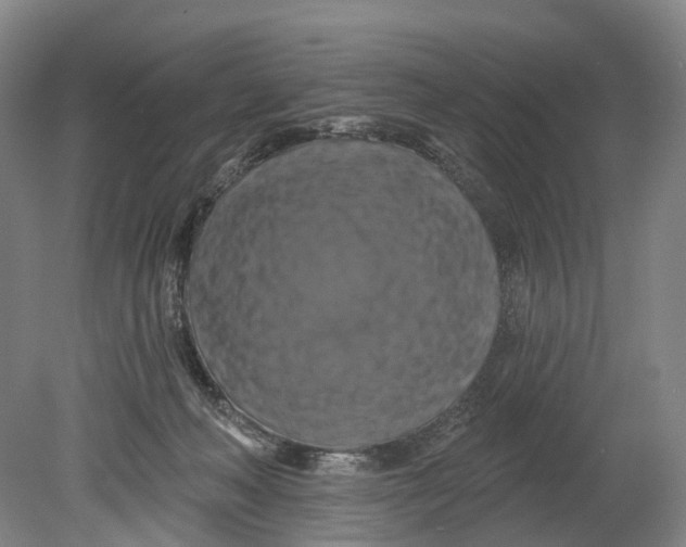 X0000080690222200701051108