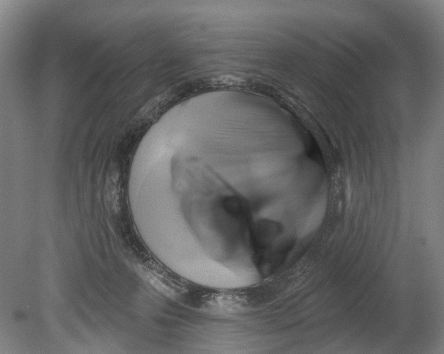 X0000080690223200701051108