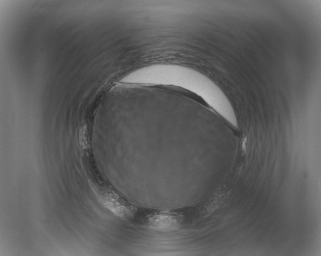 X0000080690224200701051108