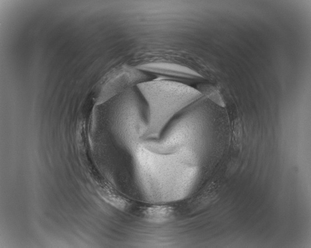 X0000080690225200701051108