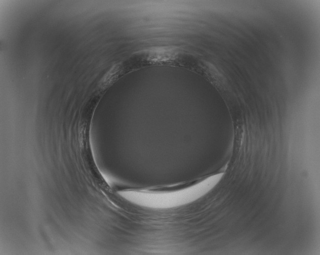 X0000080690227200701051108