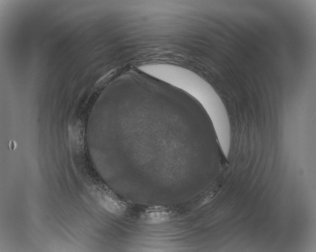X0000080690228200701051108