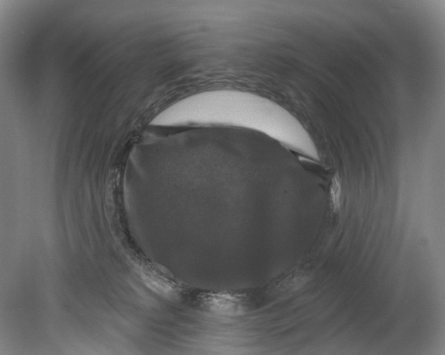 X0000080690229200701051108