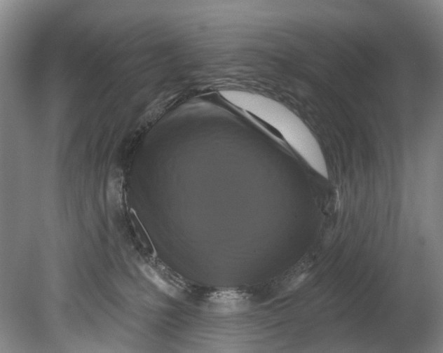 X0000080690231200701051108