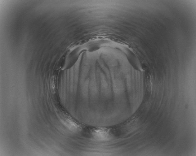 X0000080690232200701051108