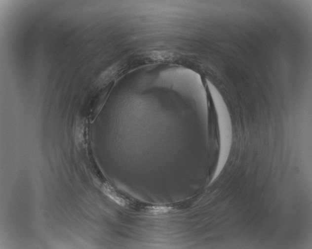 X0000080690233200701051108