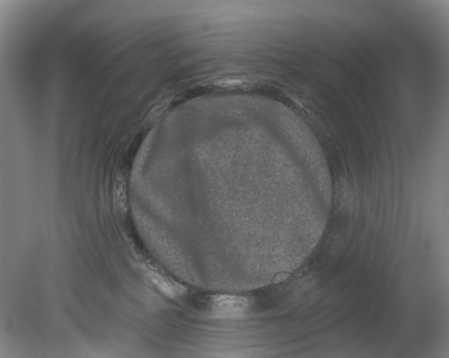 X0000080690234200701051108