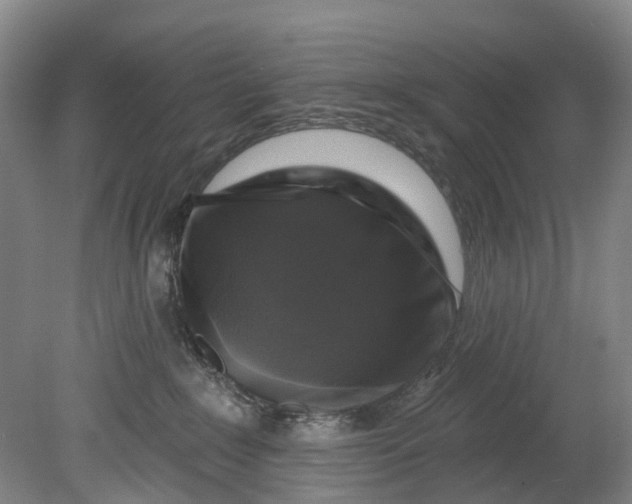 X0000080690235200701051108