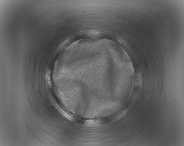 X0000080690238200701051108