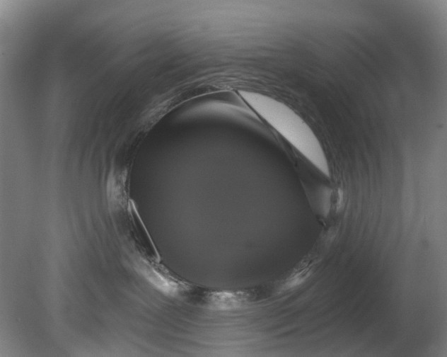 X0000080690239200701051108