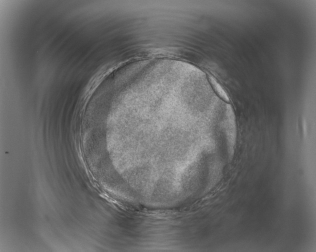 X0000080690241200701051107