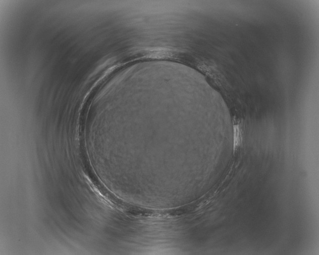 X0000080690243200701051107