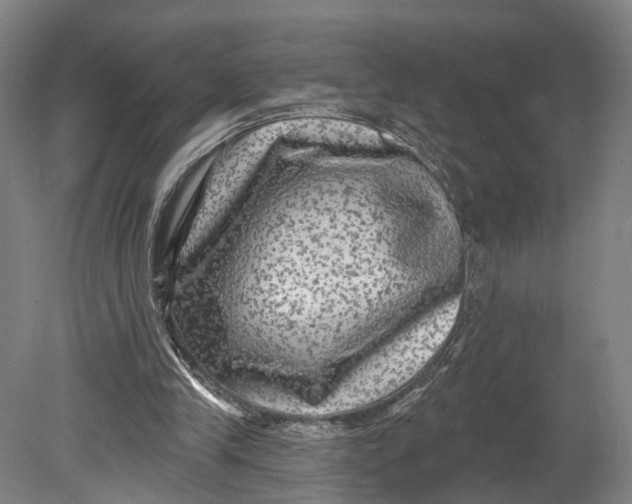 X0000080690245200701051107