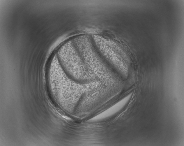 X0000080690246200701051107