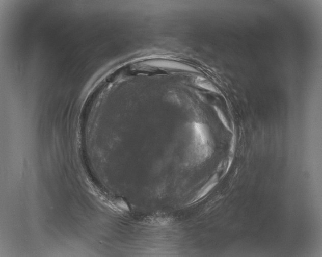 X0000080690247200701051107