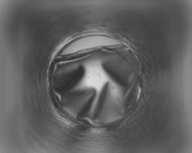 X0000080690248200701051107