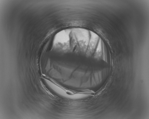 X0000080690249200701051107