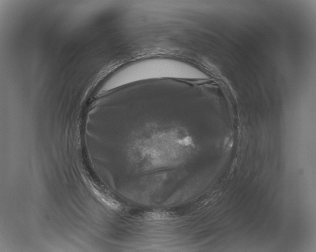 X0000080690250200701051107
