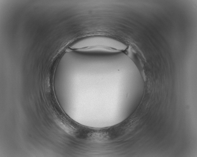 X0000080690251200701051107