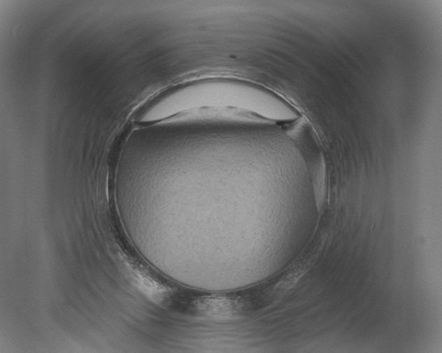 X0000080690253200701051107
