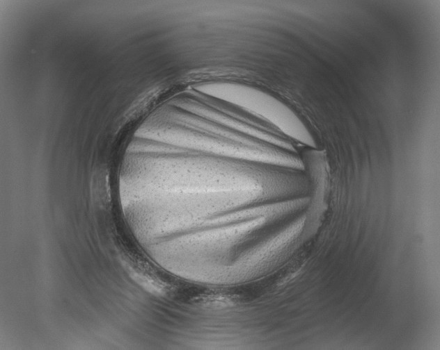 X0000080690254200701051107
