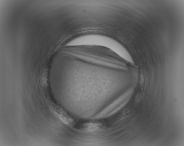 X0000080690255200701051107