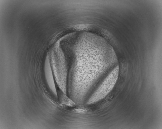 X0000080690259200701051107