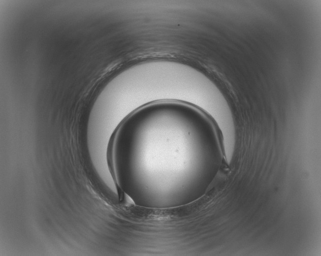 X0000080690260200701051107