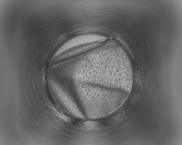 X0000080690261200701051108