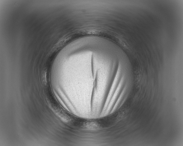 X0000080690262200701051108