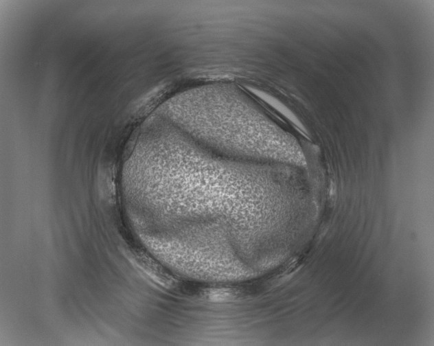 X0000080690264200701051108