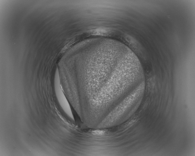 X0000080690265200701051108