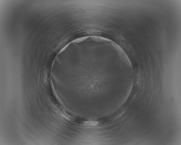 X0000080690266200701051108