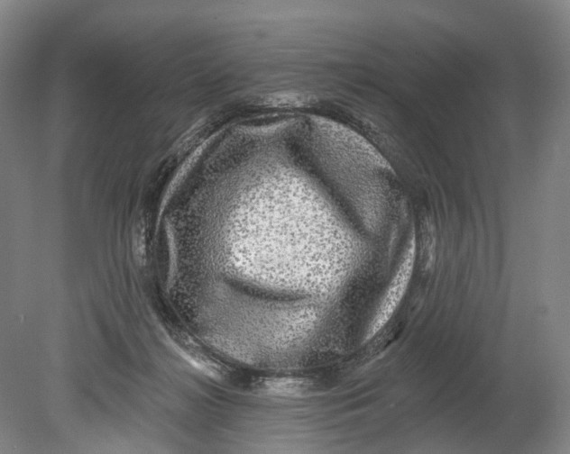 X0000080690268200701051108