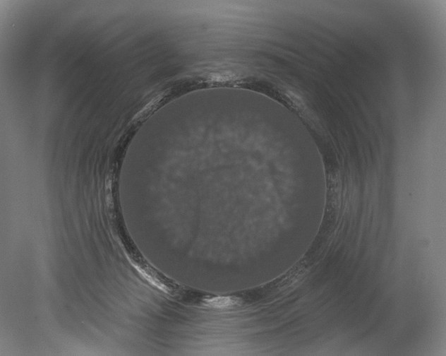 X0000080690269200701051108