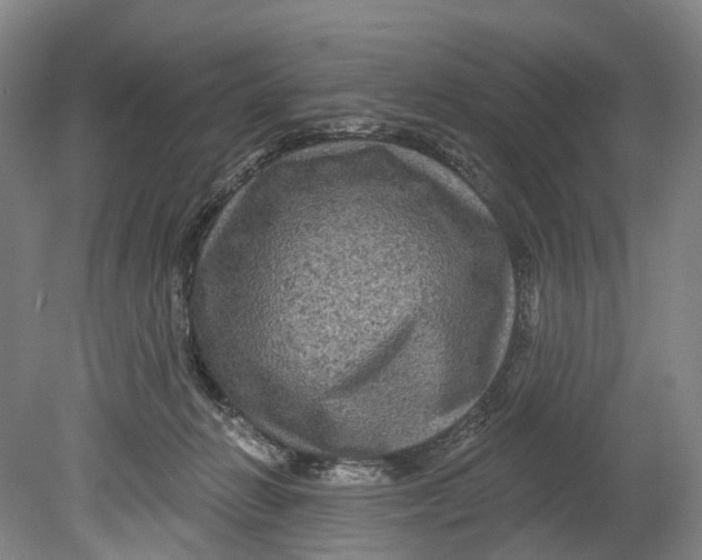 X0000080690270200701051108