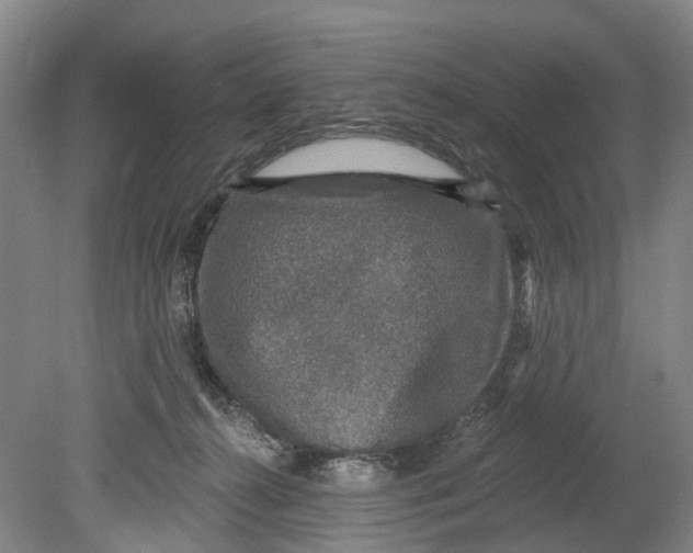 X0000080690272200701051108