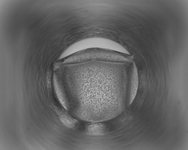 X0000080690274200701051108