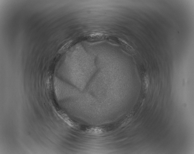 X0000080690276200701051108