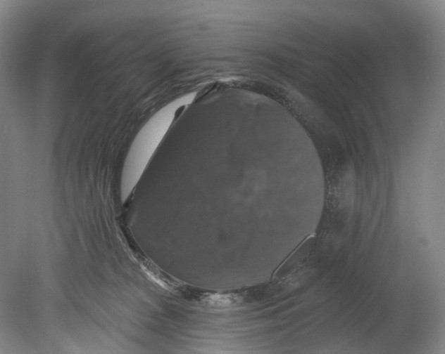 X0000080690277200701051108