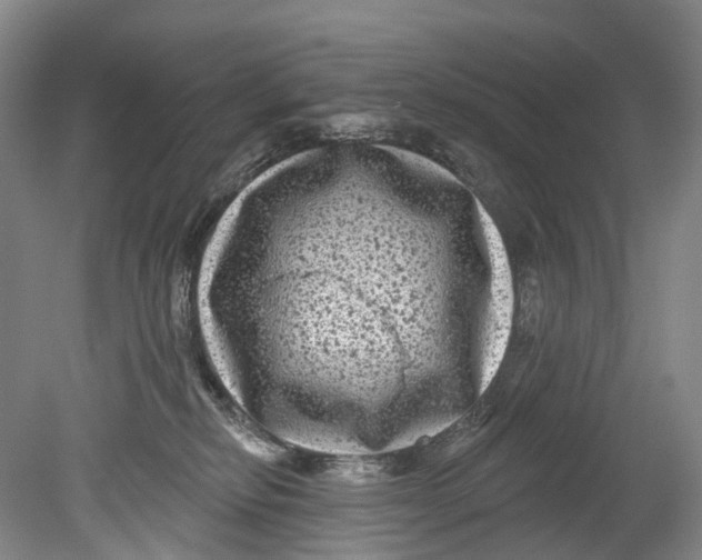 X0000080690278200701051108