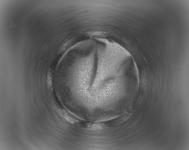 X0000080690282200701051108