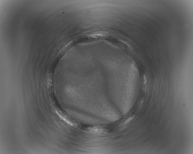 X0000080690284200701051108