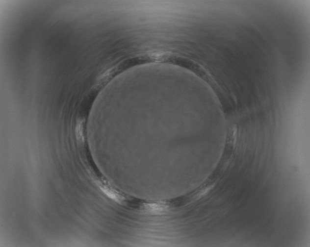 X0000080690286200701051108