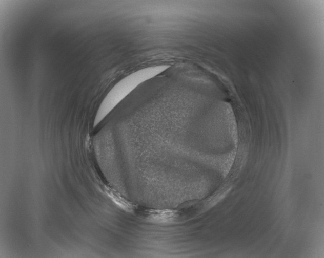 X0000080690288200701051108