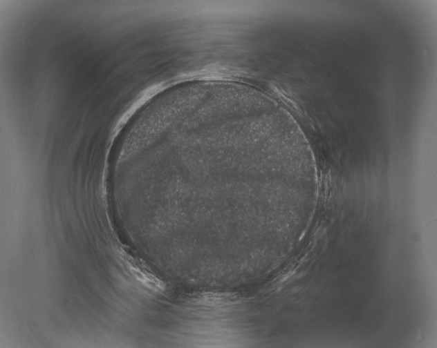X0000080690292200701051107