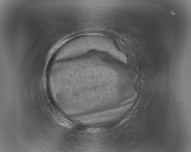 X0000080690294200701051107