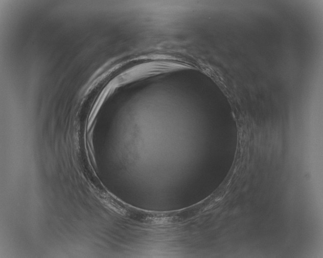 X0000080690295200701051107