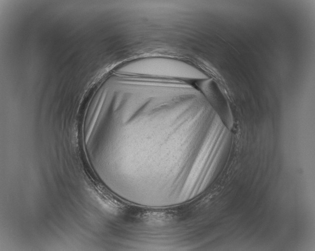 X0000080690298200701051107